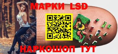 прущие грибы Будённовск