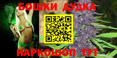 прущие грибы Будённовск