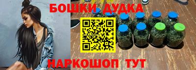 прущие грибы Будённовск