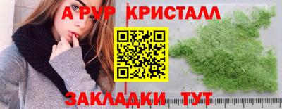 прущие грибы Будённовск
