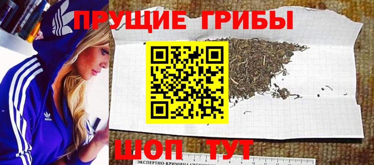 Галлюциногенные грибы MAGIC MUSHROOMS Нальчик