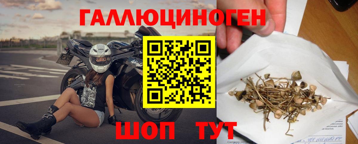 где можно купить наркотик  Вход с VPN  Нальчик  Галлюциногенные грибы MAGIC MUSHROOMS 